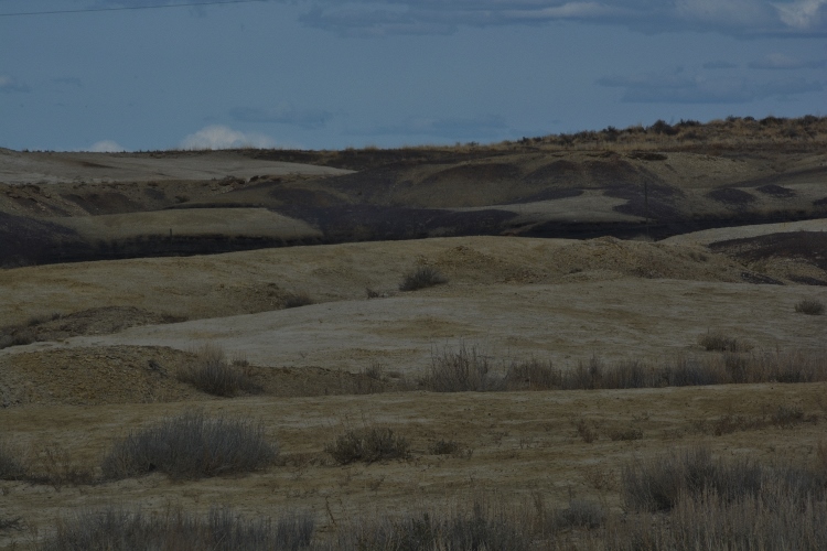 bisti wilderness